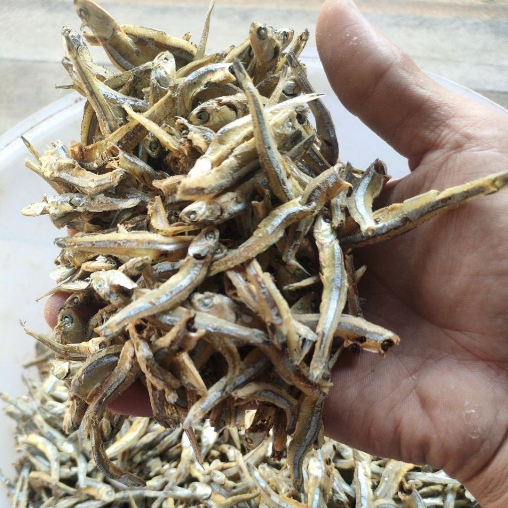 ikan teri kering teri panggang cocok untuk lauk