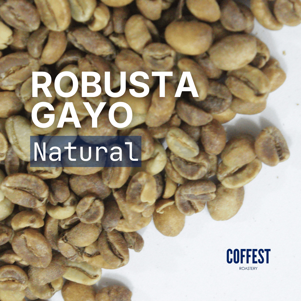 [GREEN BEAN] Robusta ACEH GAYO Biji Kecil Natural 1kg | Grade 1 Biji Kopi Mentah Espresso Blend Base