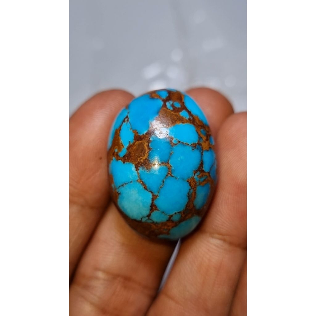 natural pirus mesir ceplok kuro (grade A plus)
