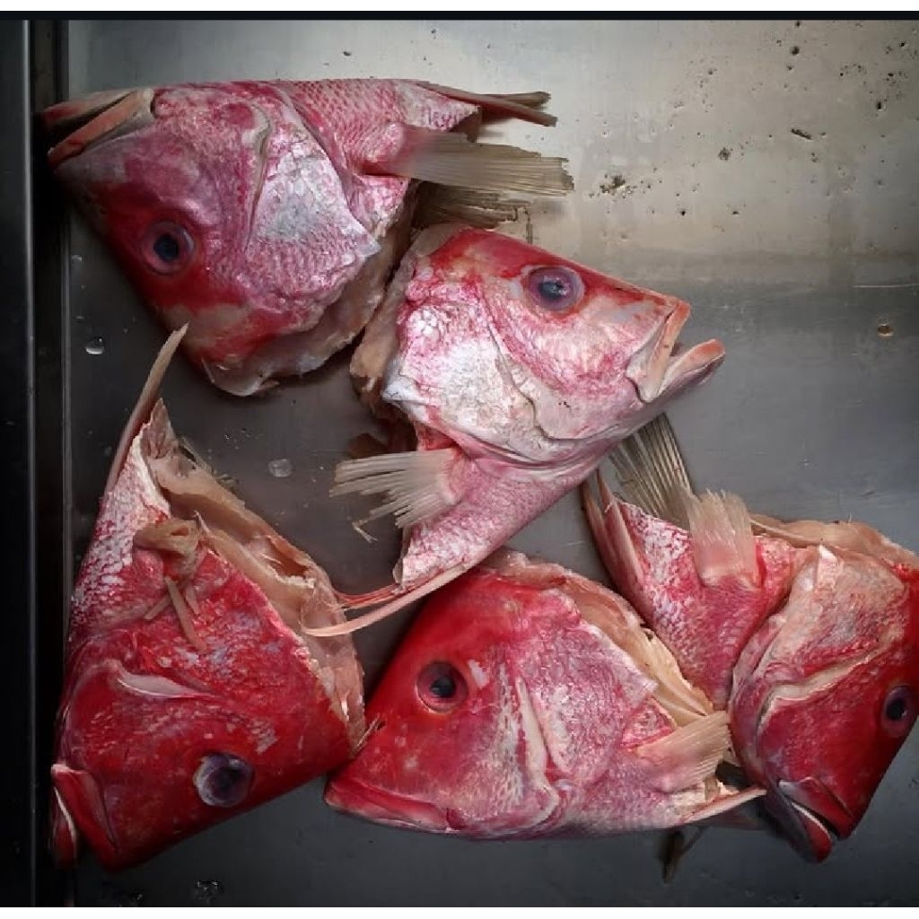 Kepala Kakap Merah/ Kepala ikan kakap merah resh 1kg