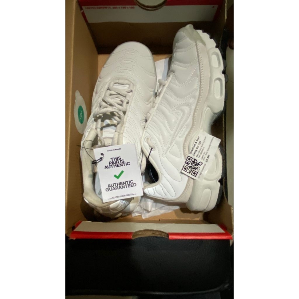 Nike Air Max Platinum Tint (TN)