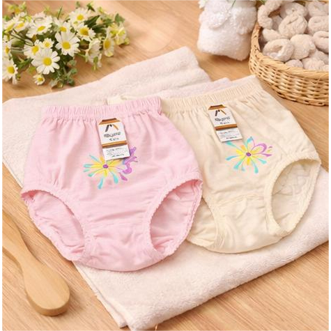 Celana Dalam | Celana Dalam Wanita 3 pcs | Celana Dalam Wanita | Mayana - Bordir Bunga isi 3pcs