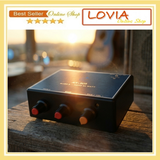 Ampli Rakitan Amplifier Miniatur Class-D 60 Watt Siap Pakai AX-905