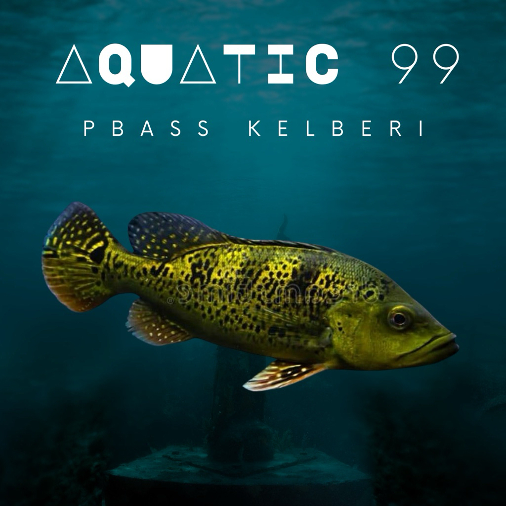 Pbass Kelberi UK 8-9CM (Full Pelet)