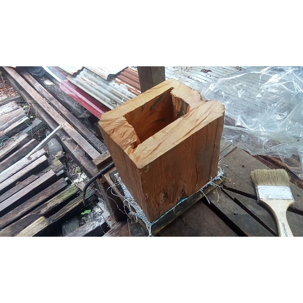 Log ori trigona itama super