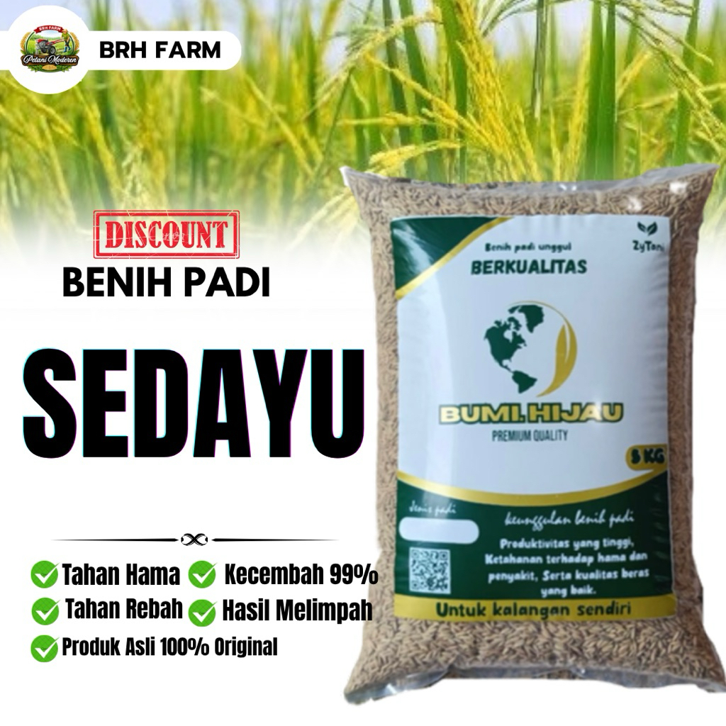 benih padi unggu SEDAYU kemasan 5kg berkualitas