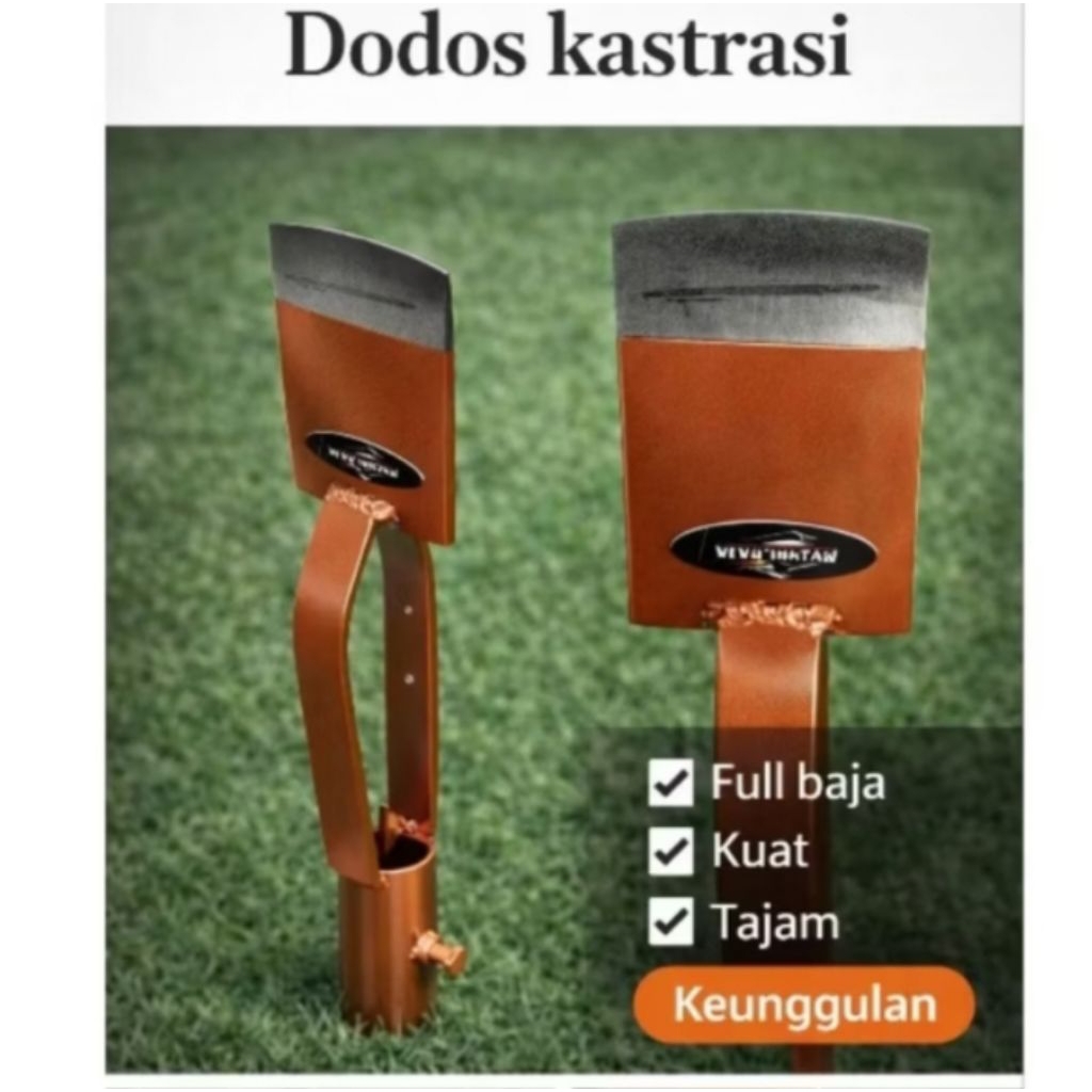 Dodos Kastrasi Sawit PER Baja asli 5mm | Mata Tajam disepuh kuat | Alat Dodos Sawit Kuat | Dodos saw