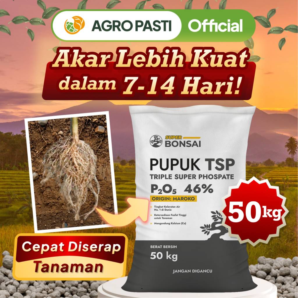 Pupuk TSP Fosfat 46% Bonsai 50kg – Pupuk Kalsium, Pupuk Akar & Dasar untuk Pertumbuhan Optimal (Caba