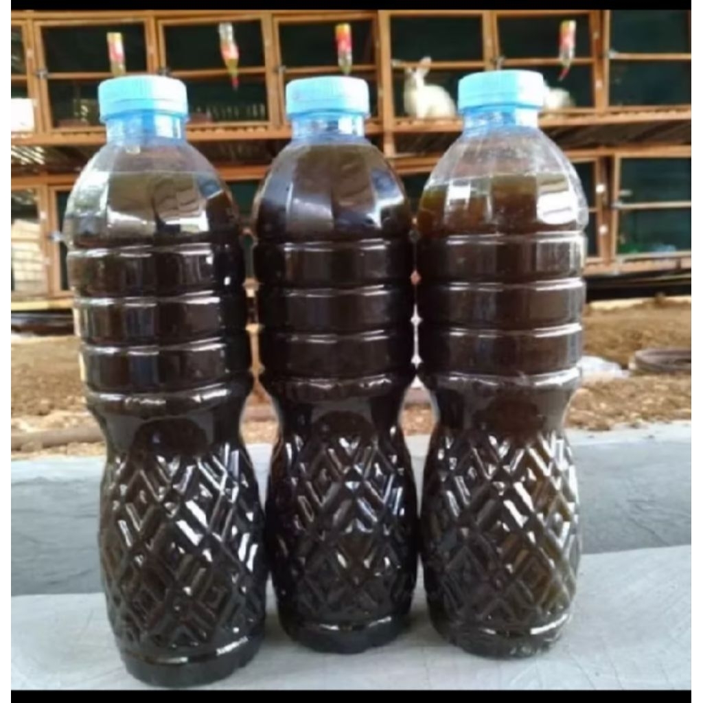 urine kelinci murni 600ml