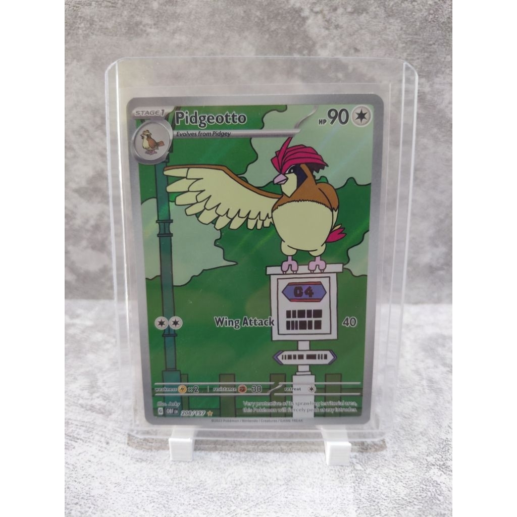Pidgeotto - NM - 2023 Pokemon Obsidian Flames - Illustration Rare