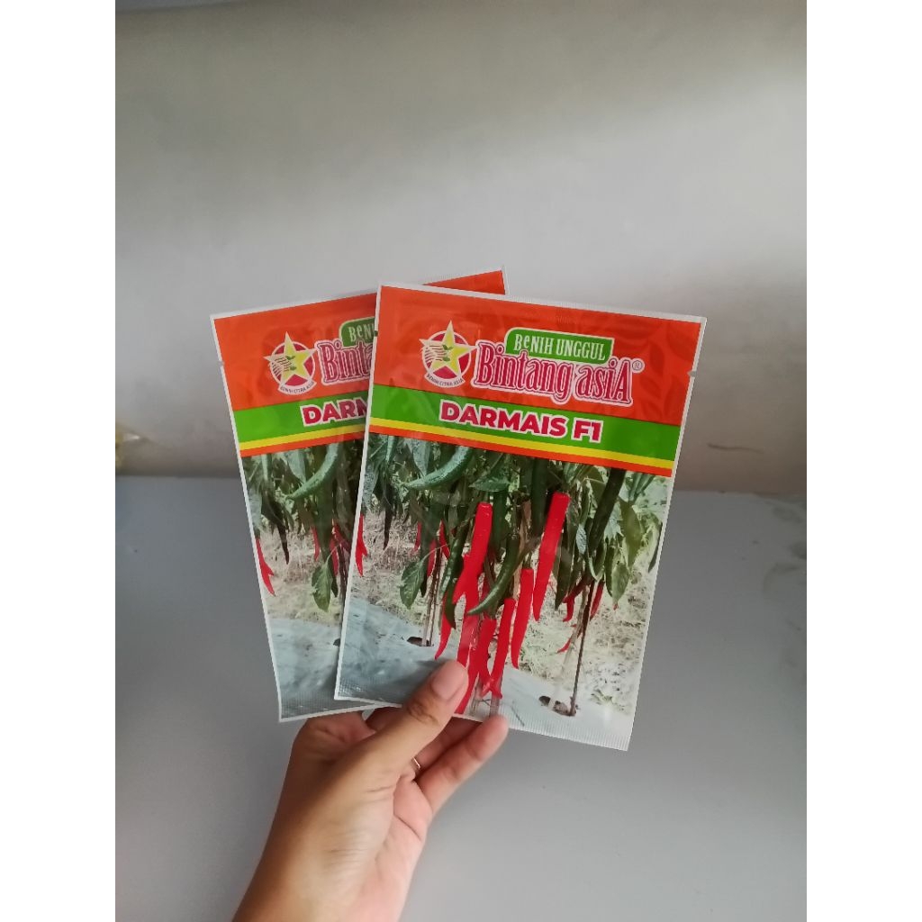 Cabai besar hibrida , DARMAIS F1