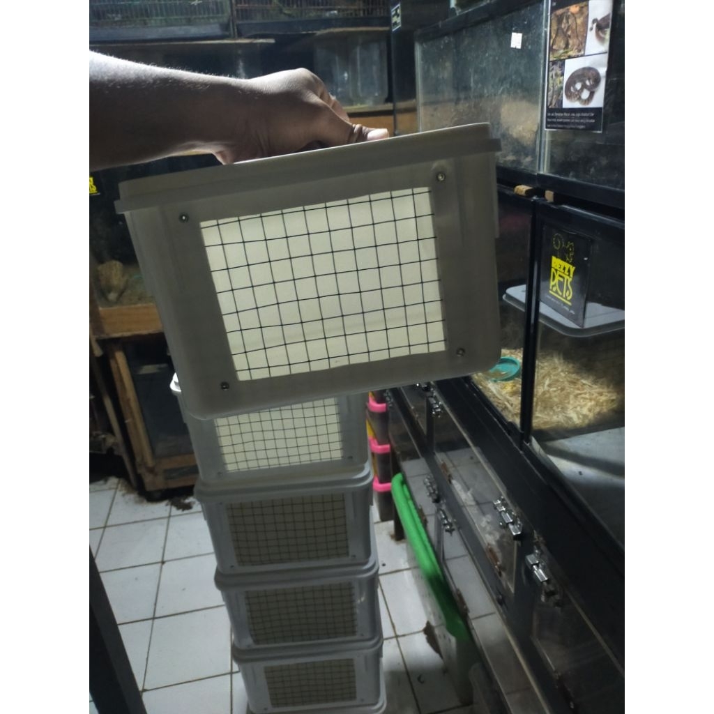 kandang hamster box