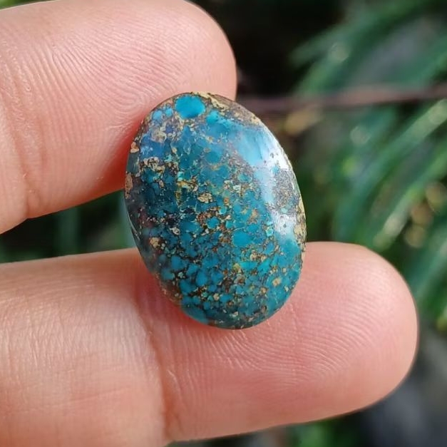 pirus persia serat emas