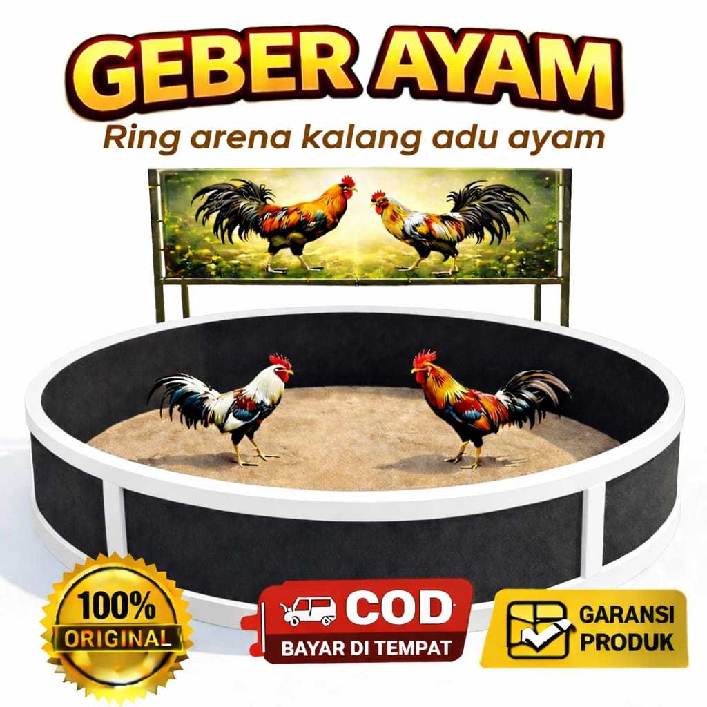 Ring geber ayam adu kalang arena pentas aduan ayam tempat latihan fisik setamina ayam jago jantan te