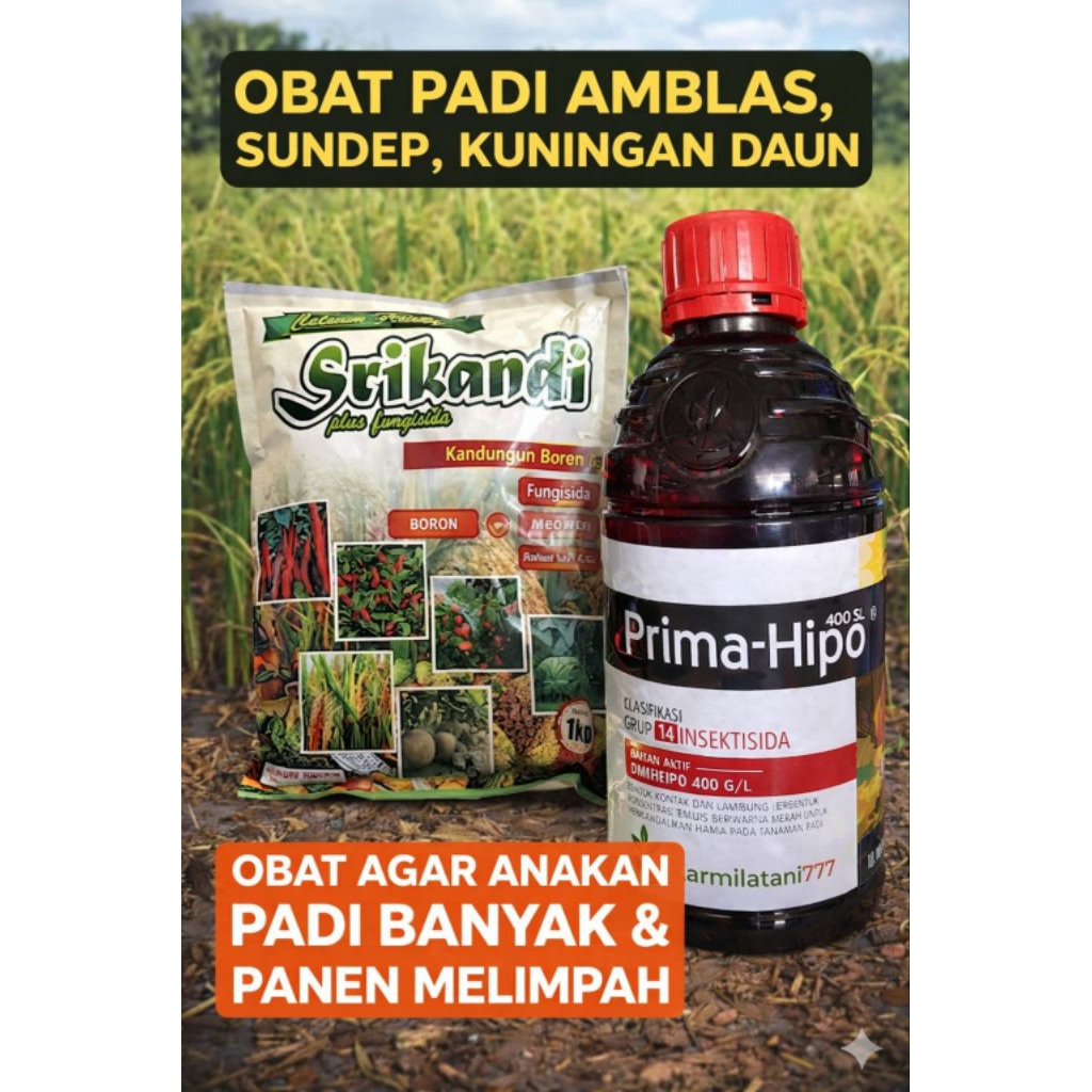 Obat Padi Lengkap Ambles Sundep Kuning Daun | Insektisida + Fungisida Padi Ampuh | Obat Pengganda An