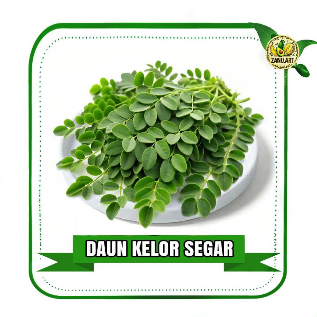 DAUN KELOR SEGAR 1 Kg