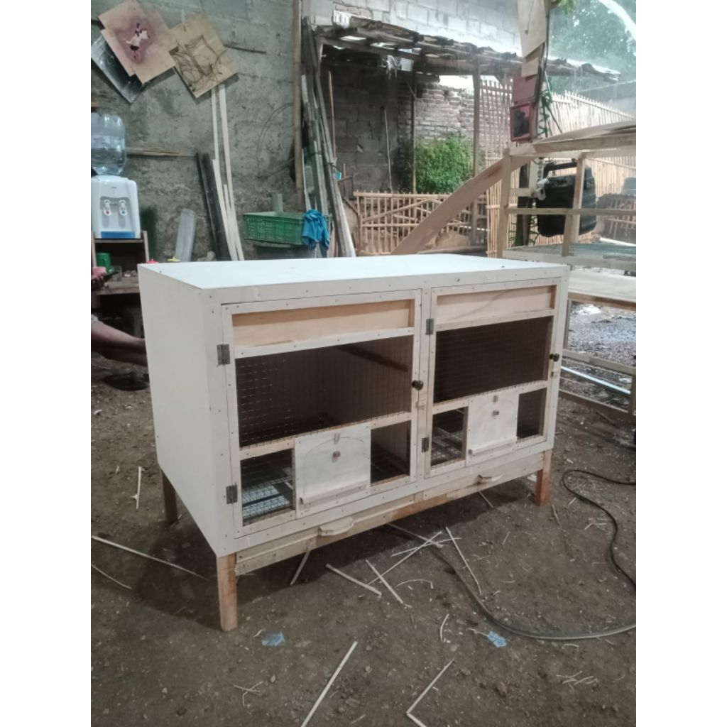 kandang macan merpati