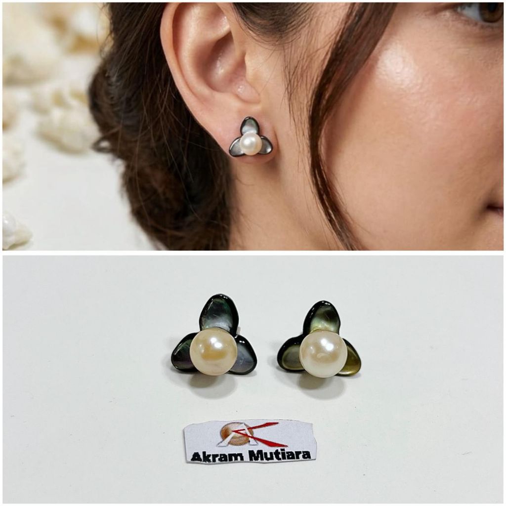 Giwang kerang mutiara air Laut lombok asli