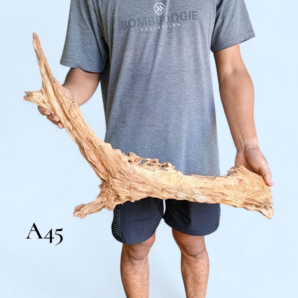 Kayu Rentek Besar Untuk Hardscape Aquascape