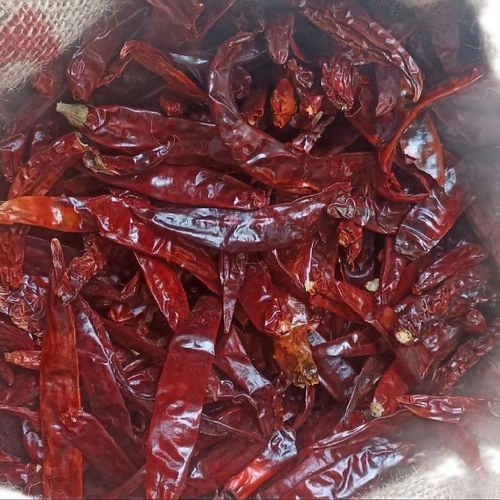 cabai kering Teja//Cabai kering besar Wonderhot 1kg