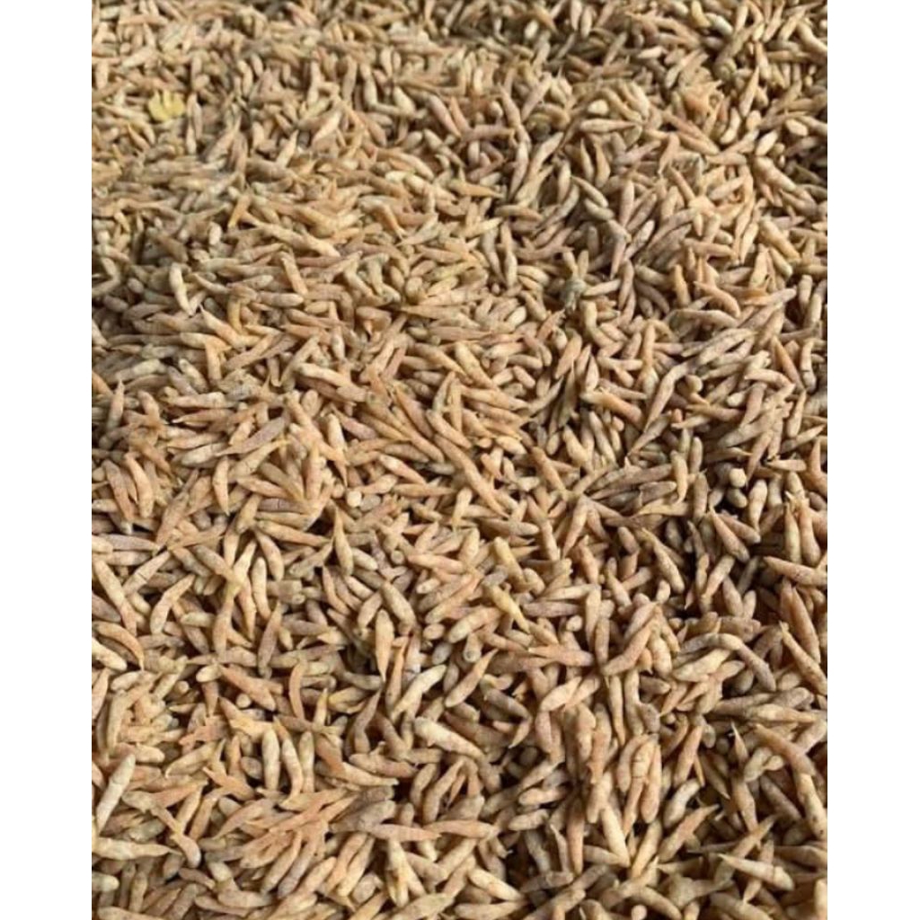 Ikan Sruwet Crispy