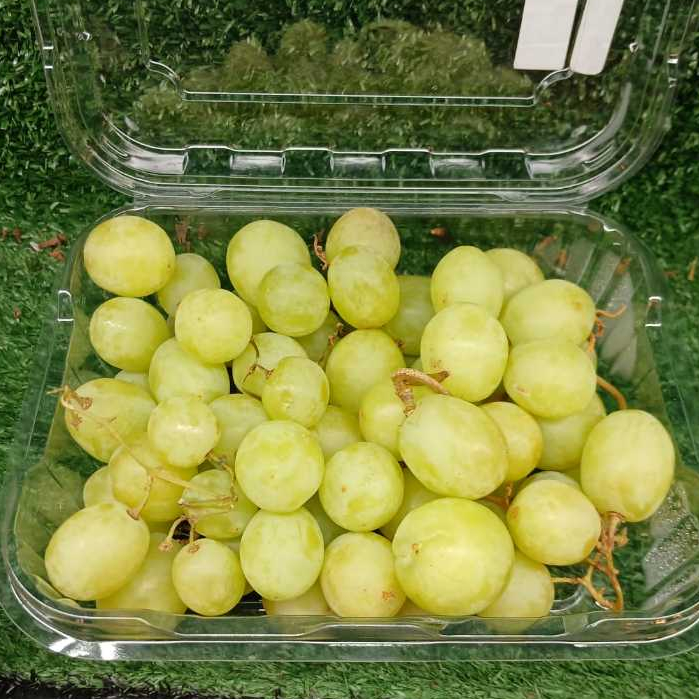 TBS-BSD ANGGUR GREEN AUTUMN CRIPS AUSTRALIA PACK 500GR