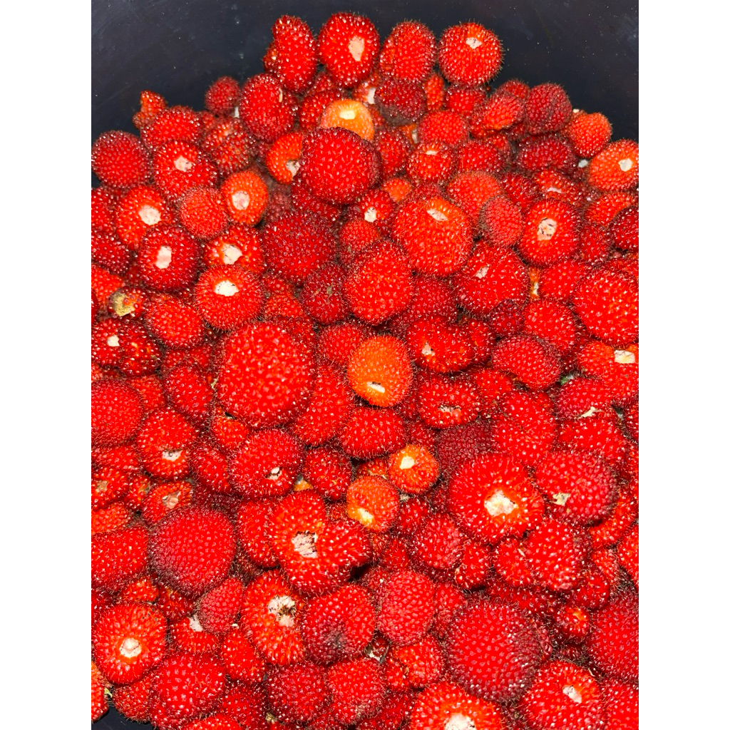 Buah Segar ± 200gr Raspberry/Raberry/Harmos Fresh