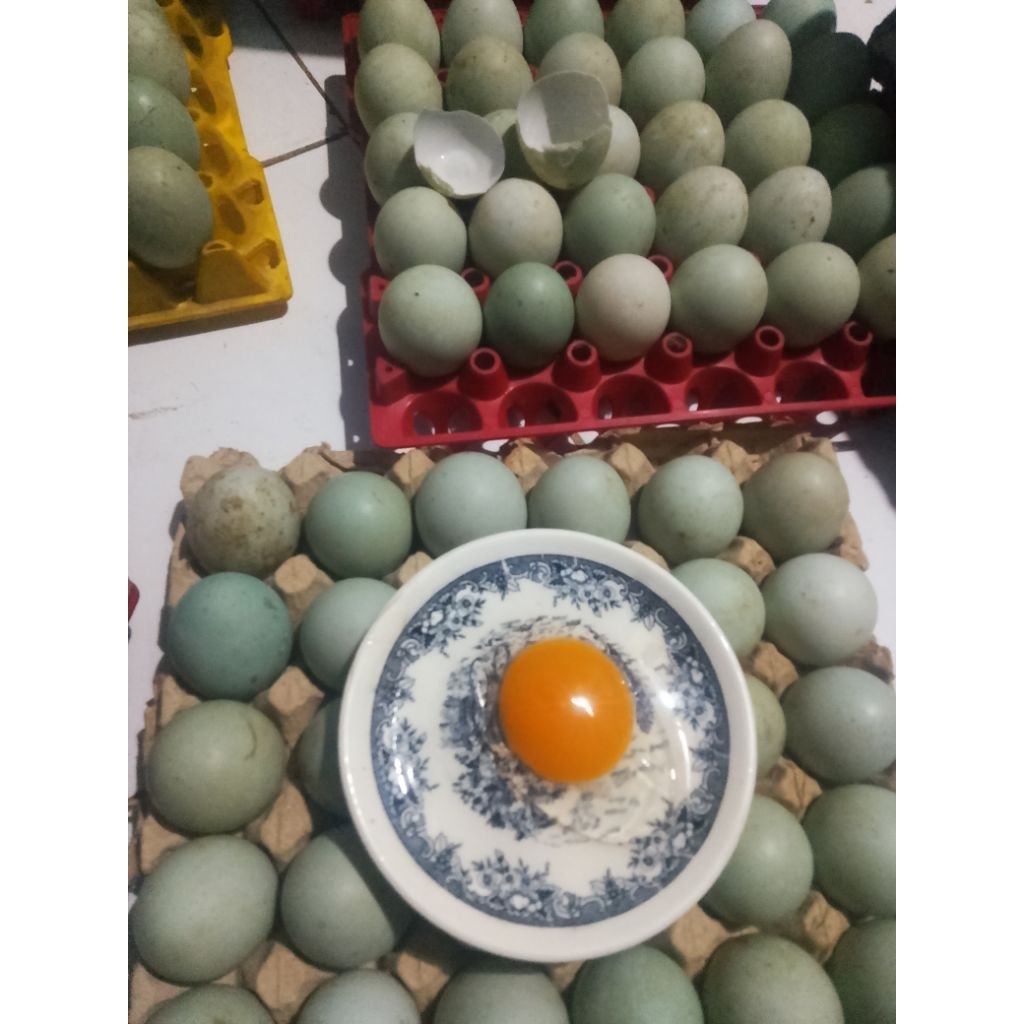 telur bebek mentah