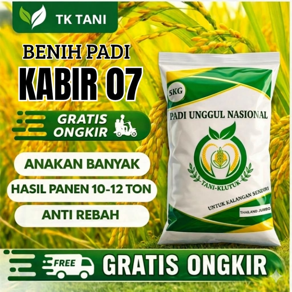BENIH PADI UNGGUL BERKUALITAS KABIR 07 100% ORIGINAL