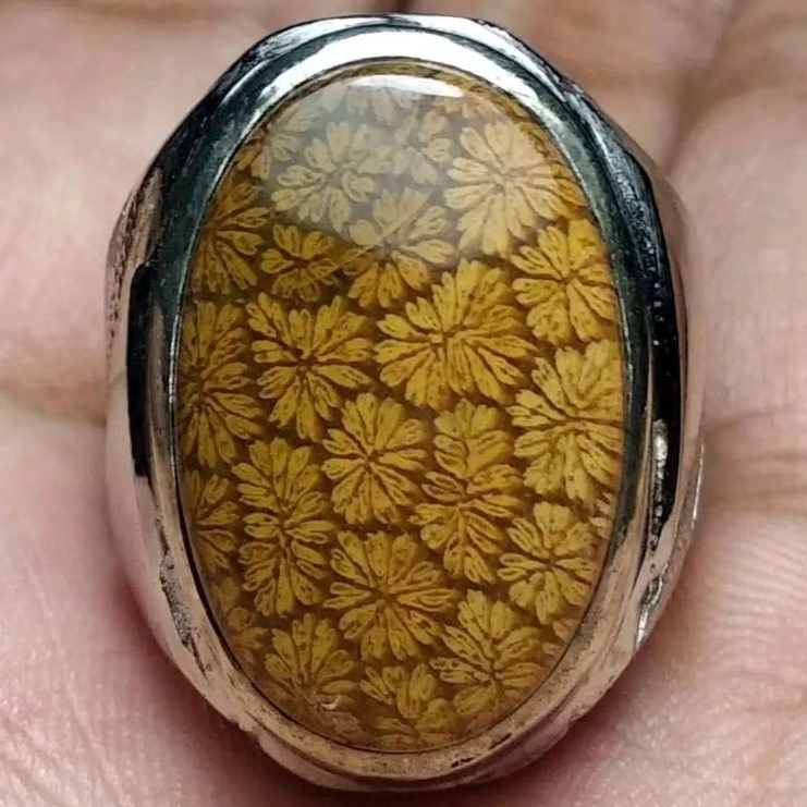 Cincin Akik Teratai