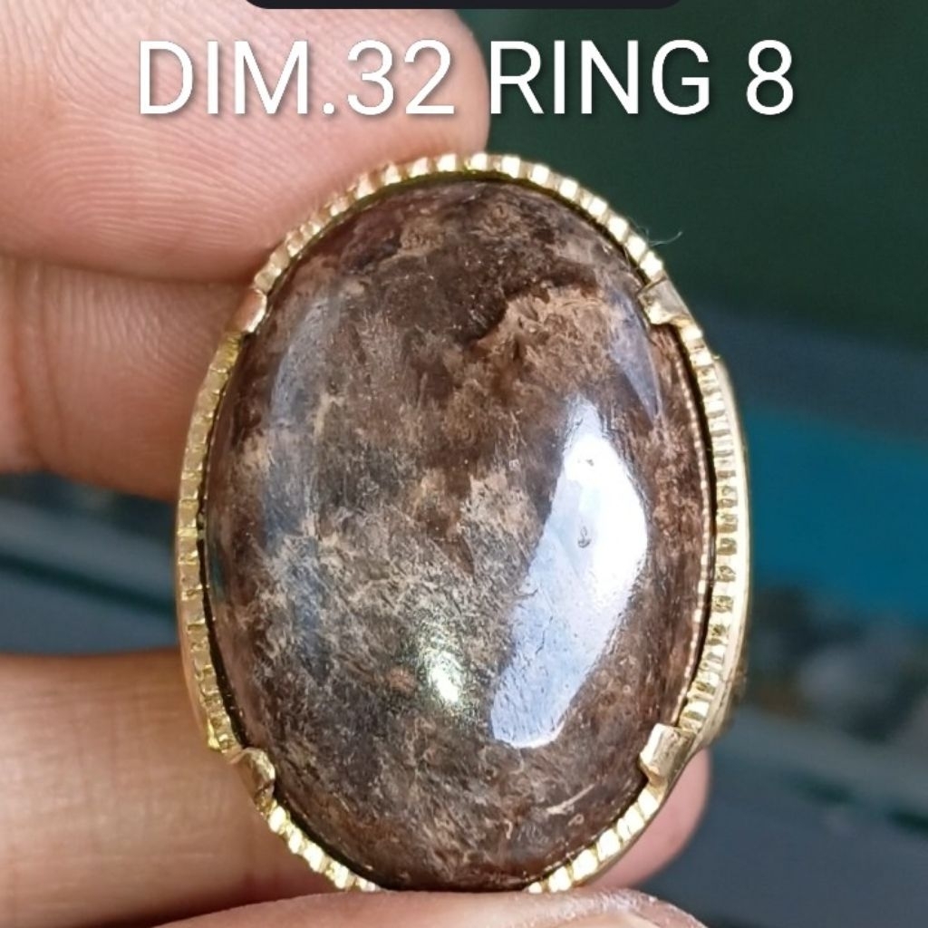NATURAL BATU BULU MACAN MOTIF LAWASAN BODYGLASS SAKRAL UNIK ANTIK LANGKA RING KOIN HANDMADE