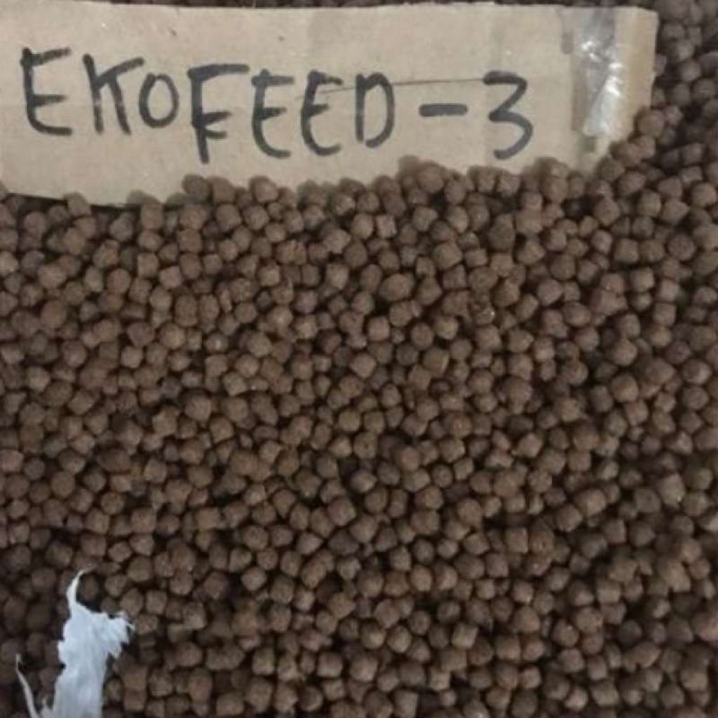 pakan ikan apung ikan lele Nila patin 1Kg