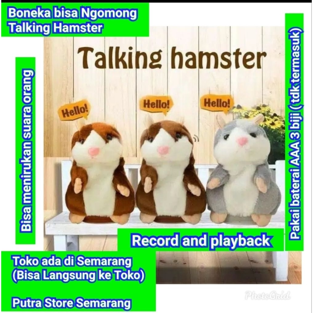 Mainan Boneka bisa Ngomong Hamster talking doll Talking hamster