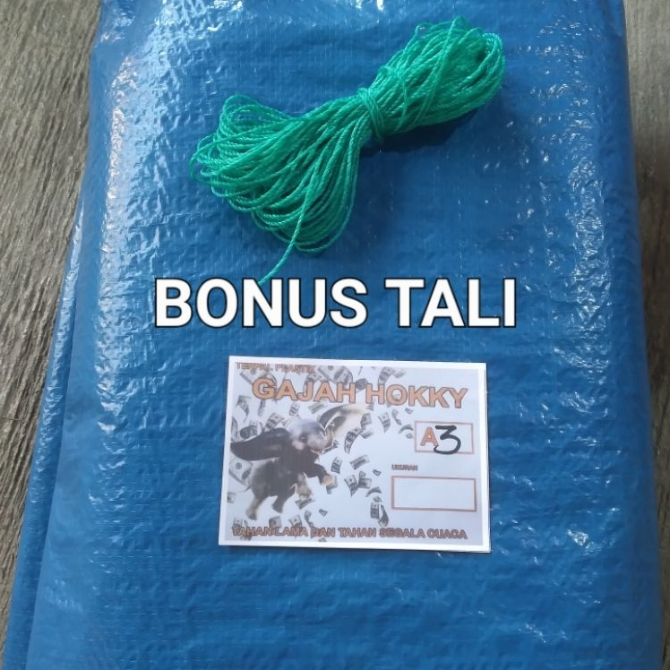 Terpal Tenda 2x5 A3 Terpal Jemur Padi Terpal Serbaguna