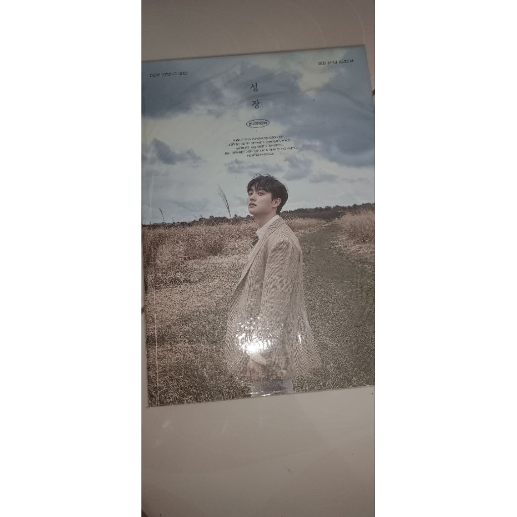 preveloved album DO KYUNGSOO II Nego