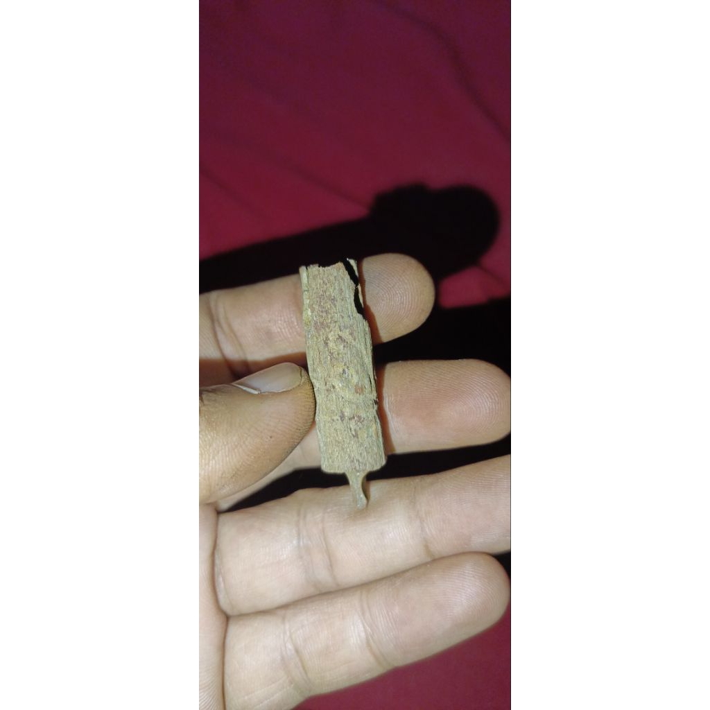 liontin nogo