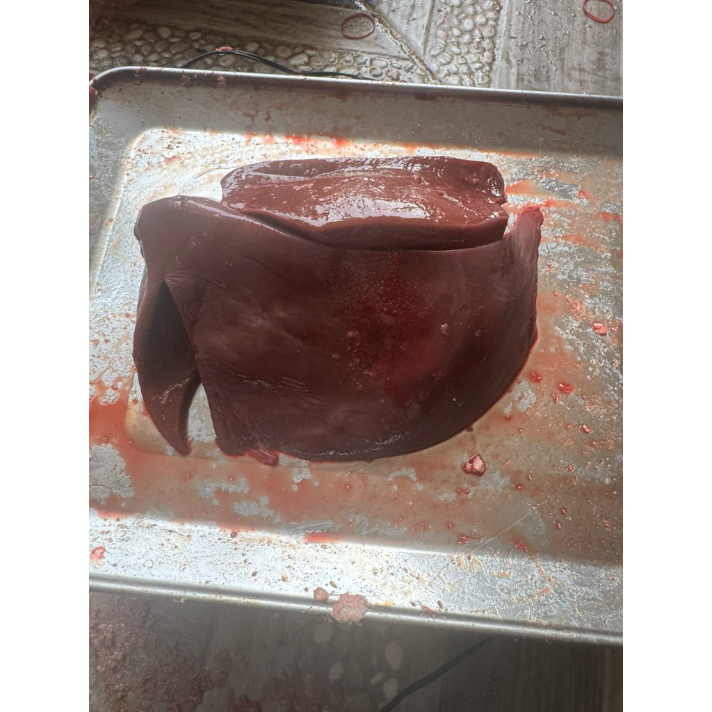 hati sapi 1 kg