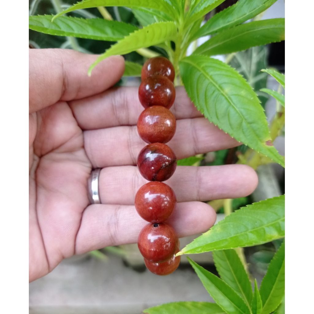 Gelang Nagasari Asli 16mm Gelang Kayu Nagasari Original