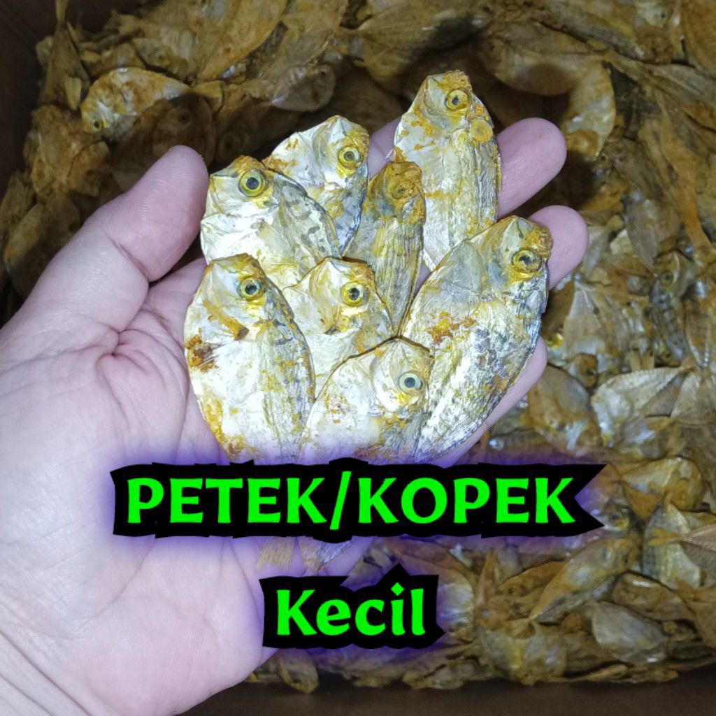 Saelaris_ Dendeng Ikan Kering (Cukup Bumbu) Gurih Manis Siap Goreng