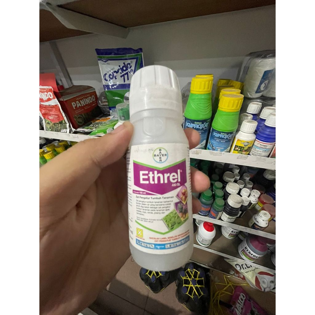 ZPT Ethrel 480 SL - 100ml