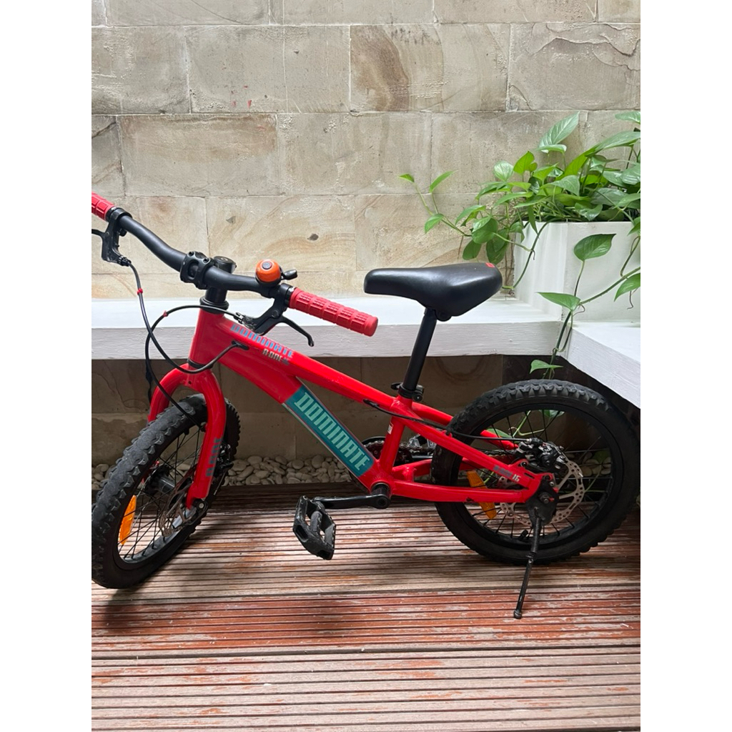 Sepeda MTB Dominate A One 16