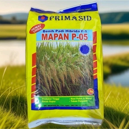 Benih Padi Mapan 05 Asli (1kg) - Bibit Padi Unggul Tahan Rebah & Hasil Tinggi