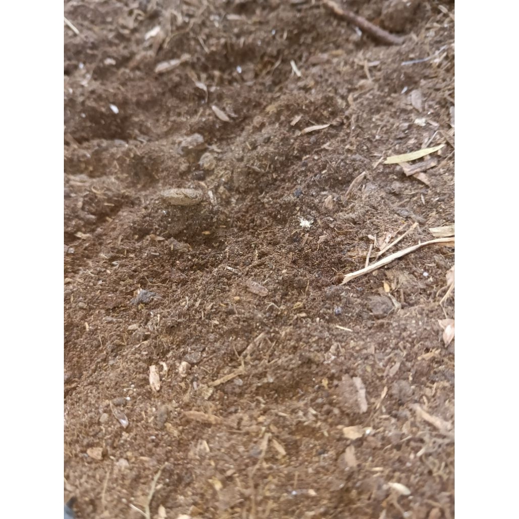 PUPUK KANDANG KOTORAN SAPI KERING
