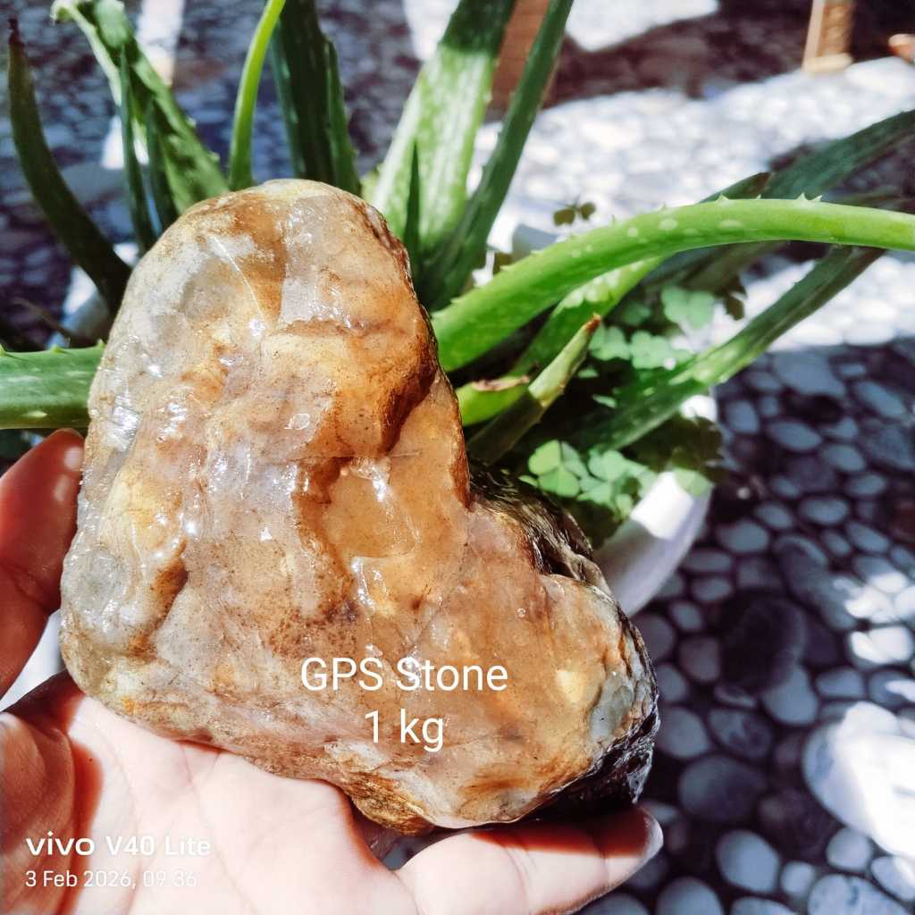 PROMO  BAHAN AKIK SUPER CALSEDONI / 1 KG  Bongkahan ANGGUR KLAWING SUPER TEMBUS / Rough Bahan Batu C