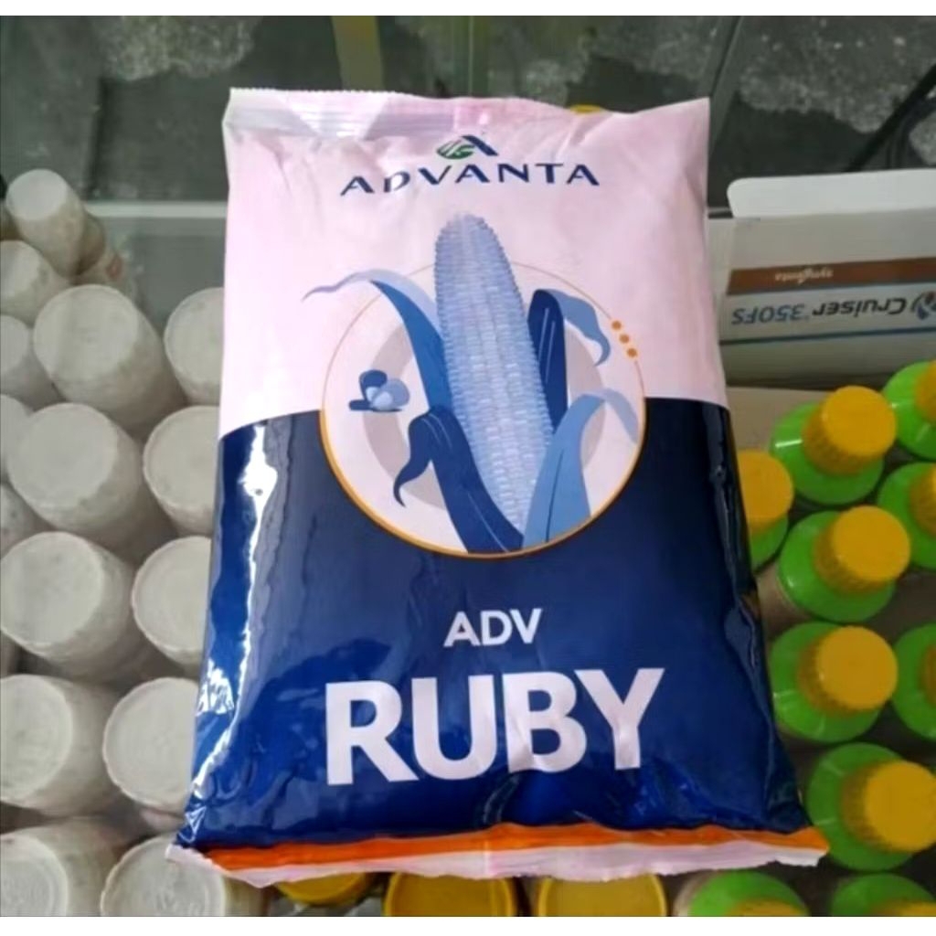 Benih jagung Adv Ruby 1 kg