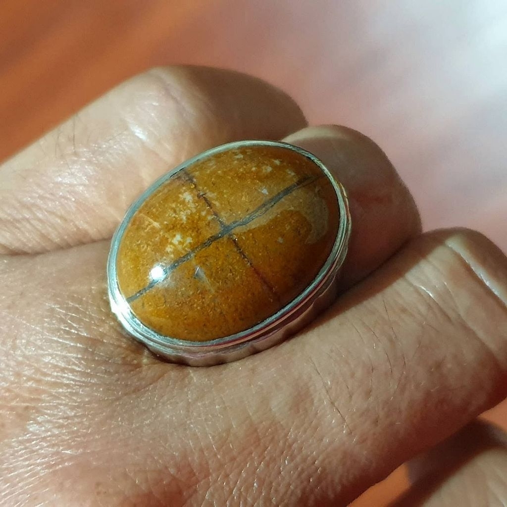 Natural batu akik tapak jalak badar asem