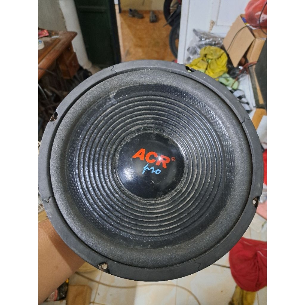 Speaker ACR pro 10 inch ORi