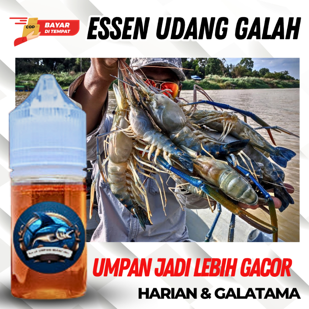 Essen Mancing Lobster Dan Udang Galah Liar Air Tawar Sungai Danau