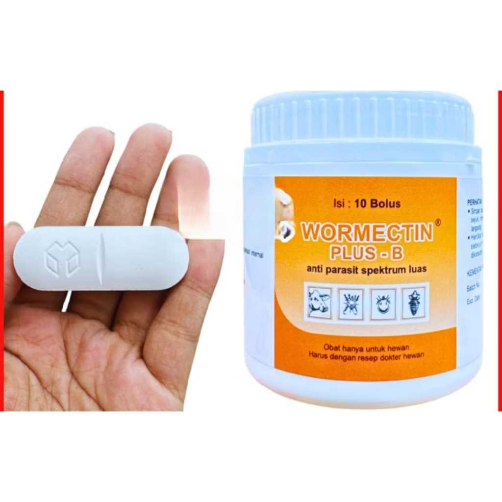Wormectin bolus obat hewan gudik kudis kutu dll