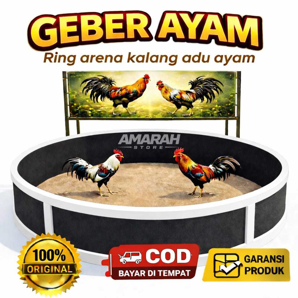 Ring geber ayam adu kalang arena pentas aduan ayam tempat latihan fisik setamina ayam jago jantan te